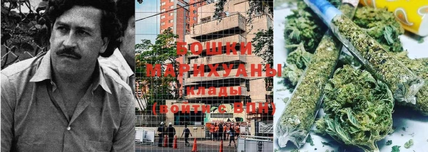 сатива Гусиноозёрск