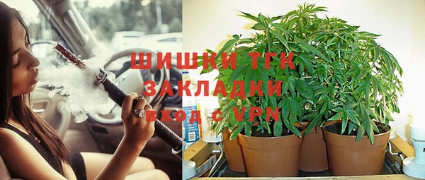 кристаллы Гусь-Хрустальный