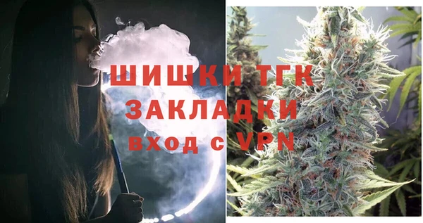 прущие крисы Горняк