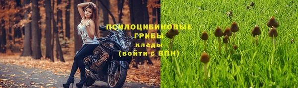 кристаллы Гусь-Хрустальный