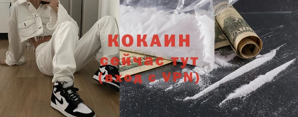 сатива Гусиноозёрск